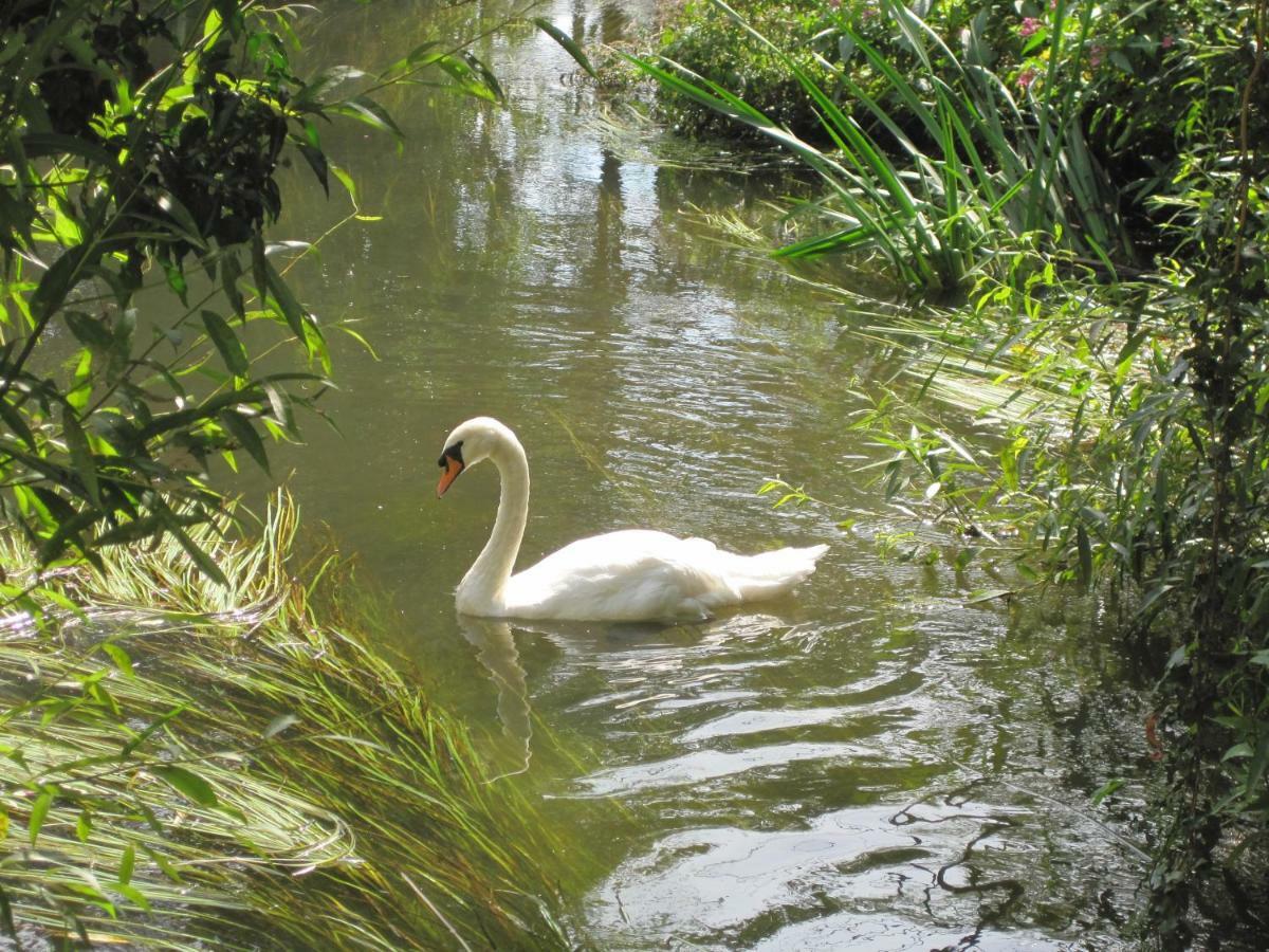 Tilford Mill Cottage Farnham  Buitenkant foto